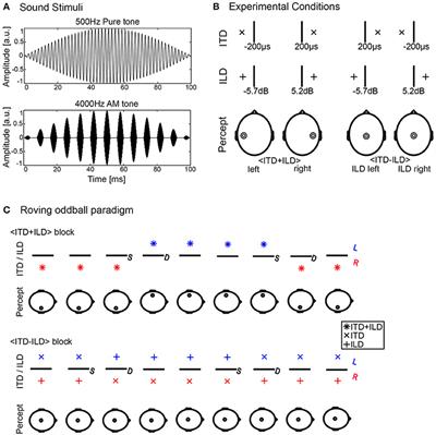 Auditory Mismatch Negativity in Response to Changes of Counter-Balanced Interaural Time and Level Differences